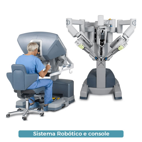 Sistema Robótico e console